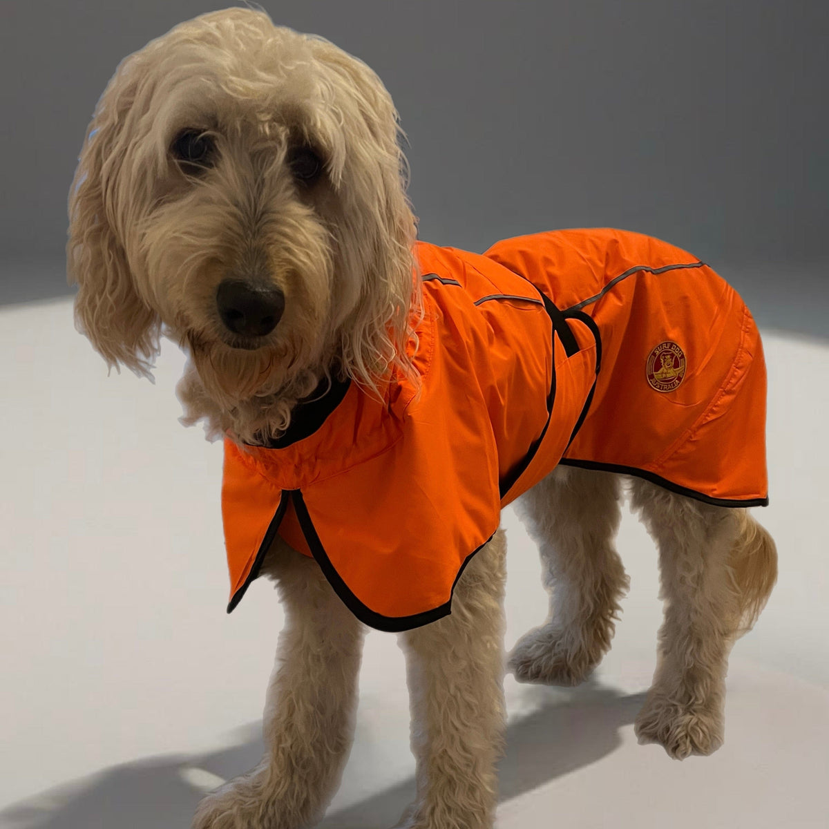 Surfdog Australia Coats for dogs Hi Vis Coat - The Glow