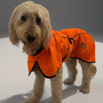 Surfdog Australia Coats for dogs Hi Vis Coat - The Glow
