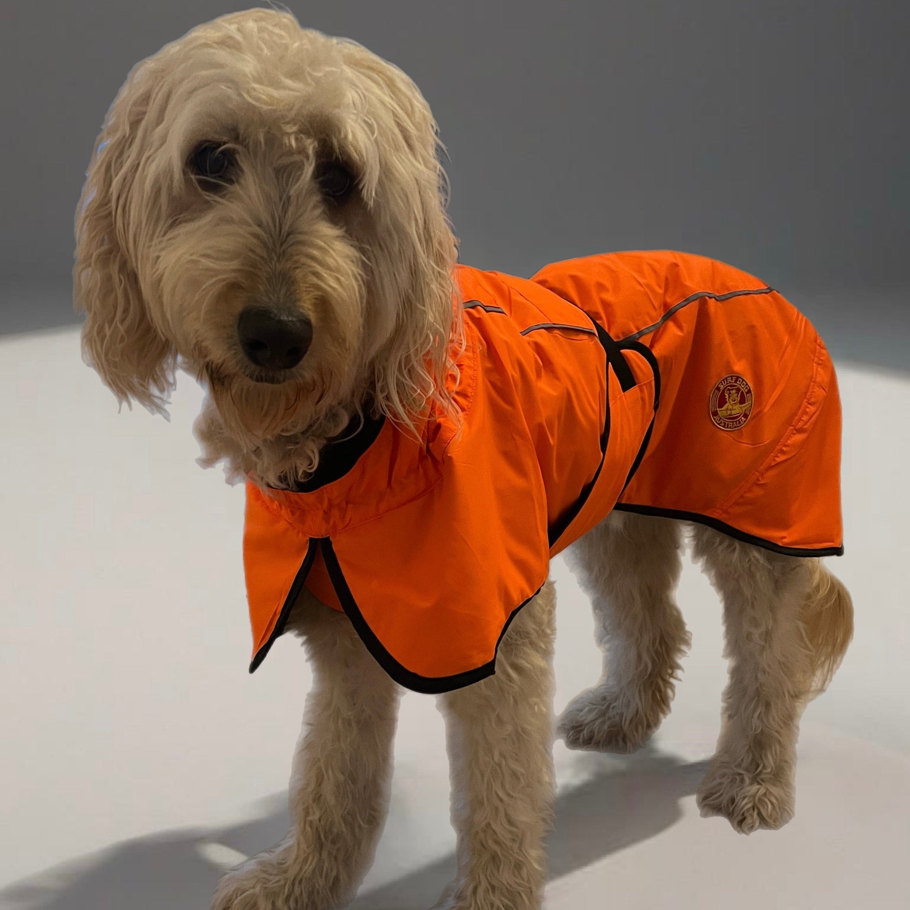 Surfdog Australia Coats for dogs Hi Vis Coat - The Glow