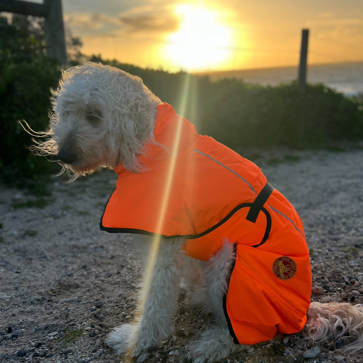 Surfdog Australia Coats for dogs Hi Vis Coat - The Glow