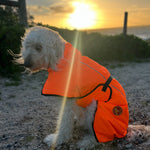 Surfdog Australia Coats for dogs Hi Vis Coat - The Glow