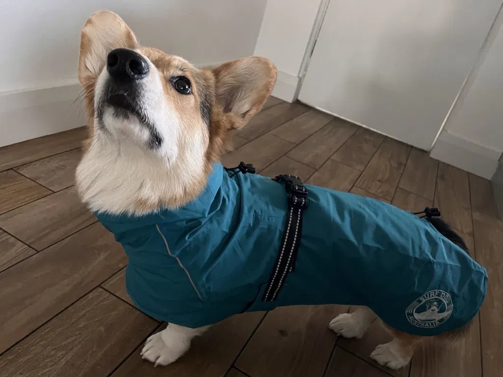 "Superfit" Raincoat Surfdog Australia
