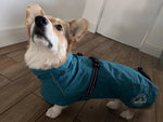 "Superfit" Raincoat Surfdog Australia