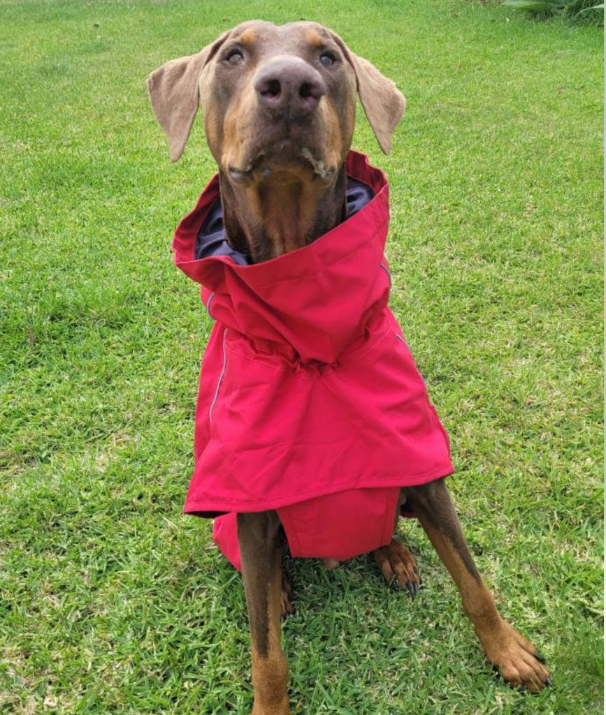 Surfdog Australia Clothing Your Dogs' Raincoat