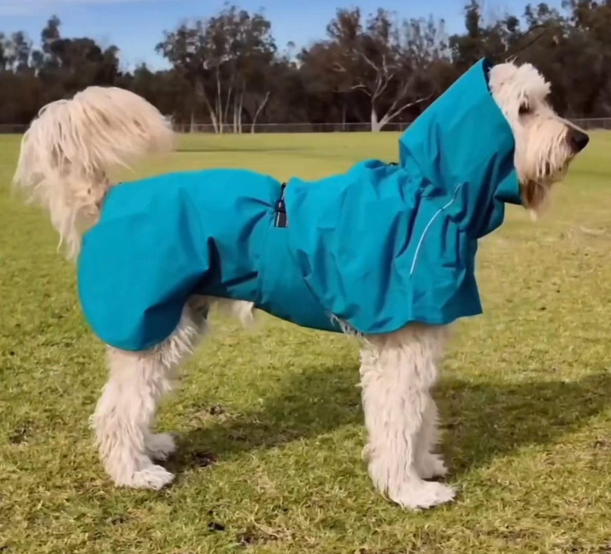 Surfdog Australia Dog Coat Raincoats for Dogs -Super