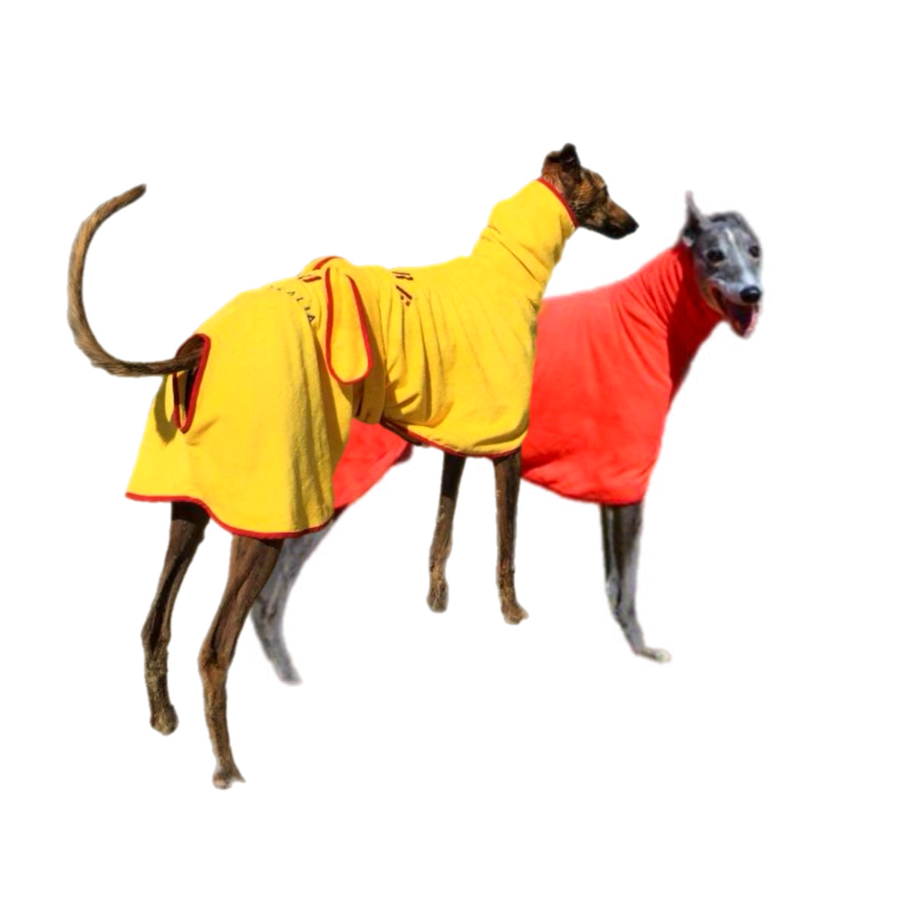 SurfDog Australia Dog Drying Coats Dog Drying Coats GREYHOUND ONLY