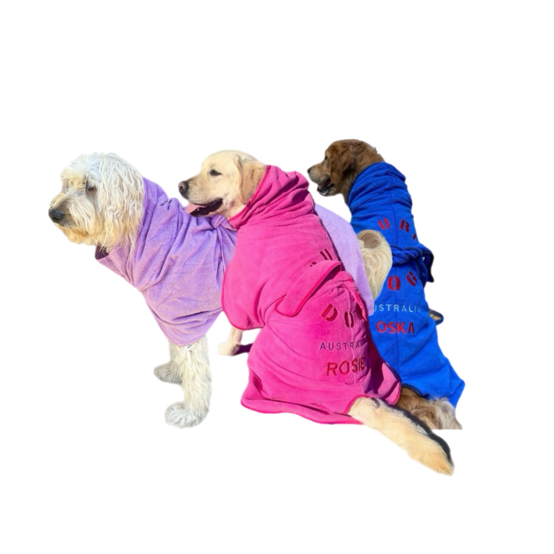SurfDog Australia Size Large. Back 65-75cm