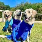 SurfDog Australia Dog Drying Coats