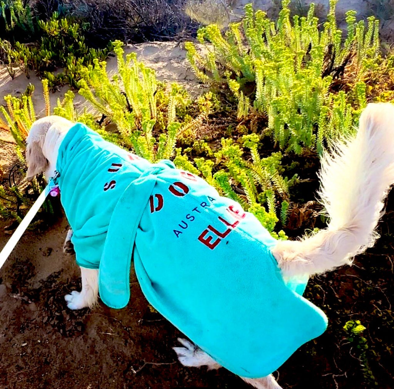 SurfDog Australia Dog Drying Coats