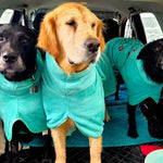 SurfDog Australia Dog Drying Coats
