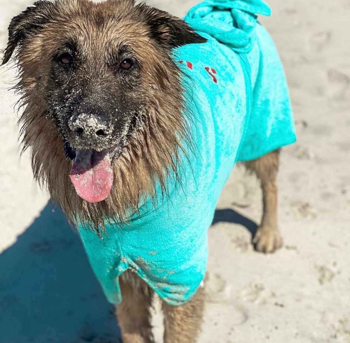 SurfDog Australia Dog Drying Coats