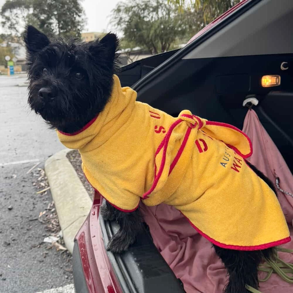 Dog Drying Coat – Ultra - Absorbent Quick - Dry Microfibre Robe for Small to XXL Dogs Surfdog Australia