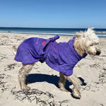 SurfDog Australia Dog Drying Coats