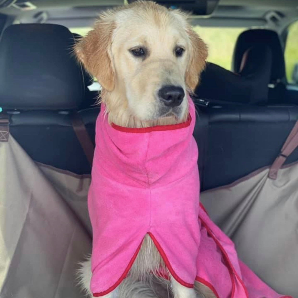 SurfDog Australia Dog Drying Coats