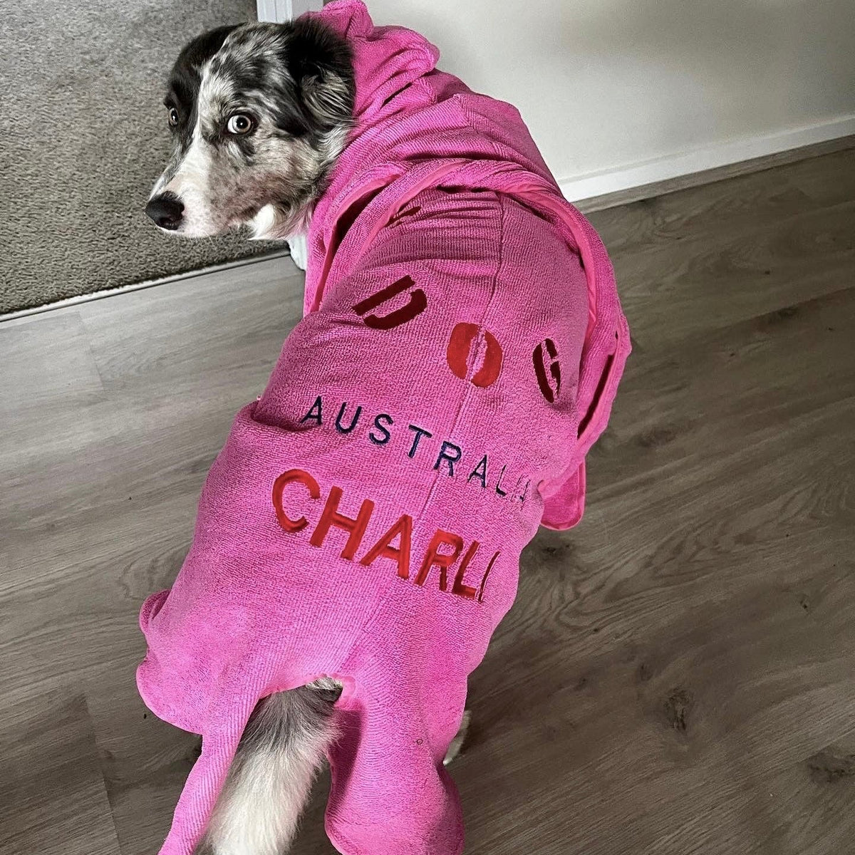 SurfDog Australia Dog Drying Coats