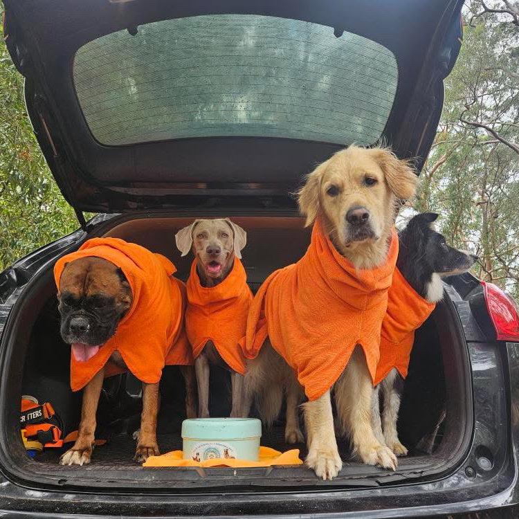 SurfDog Australia Dog Drying Coats Dog Drying Coats DC