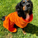 SurfDog Australia Size small. Back 38-48cm