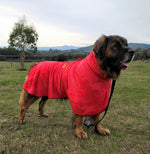 SurfDog Australia Size XXL. Back 90-110cm