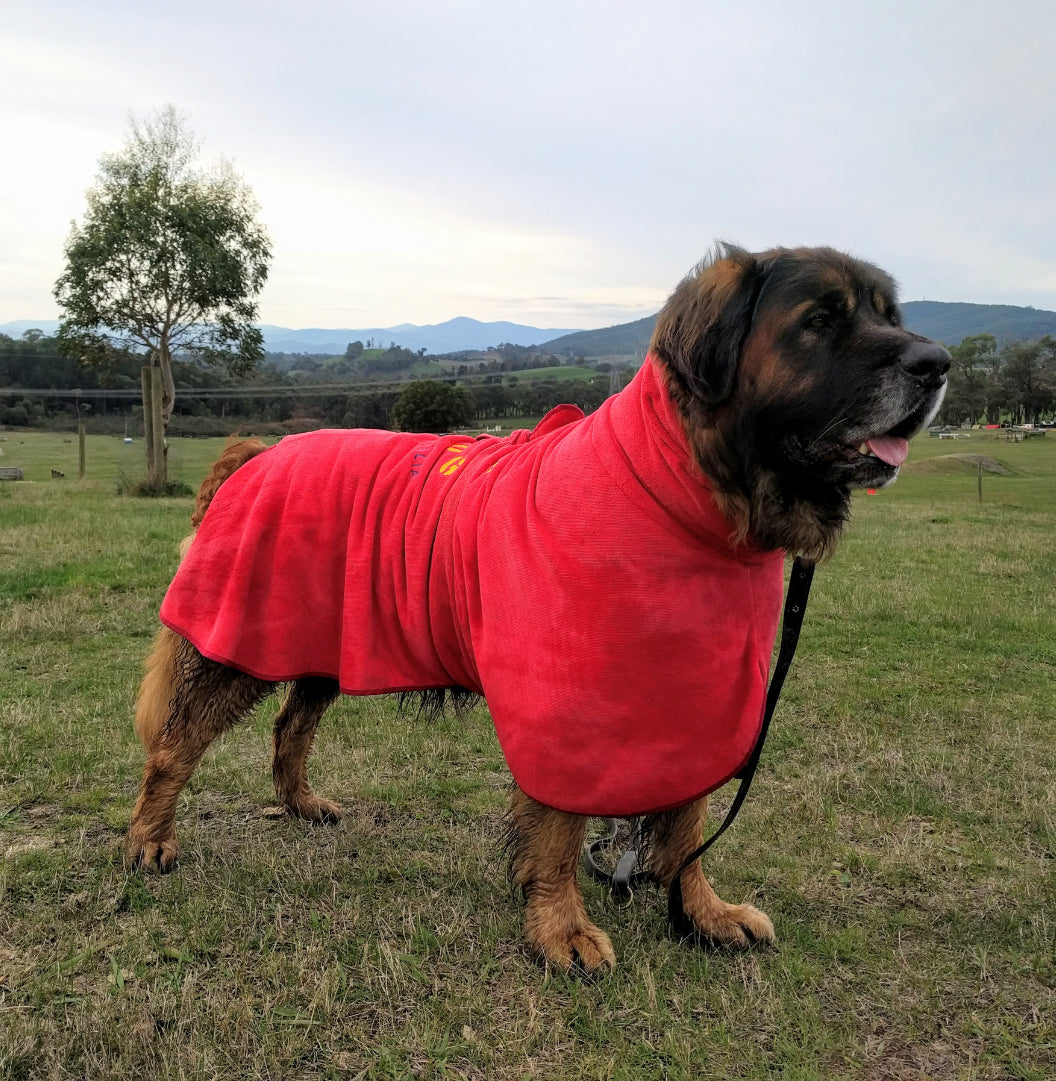 SurfDog Australia Size XXL. Back 90-110cm