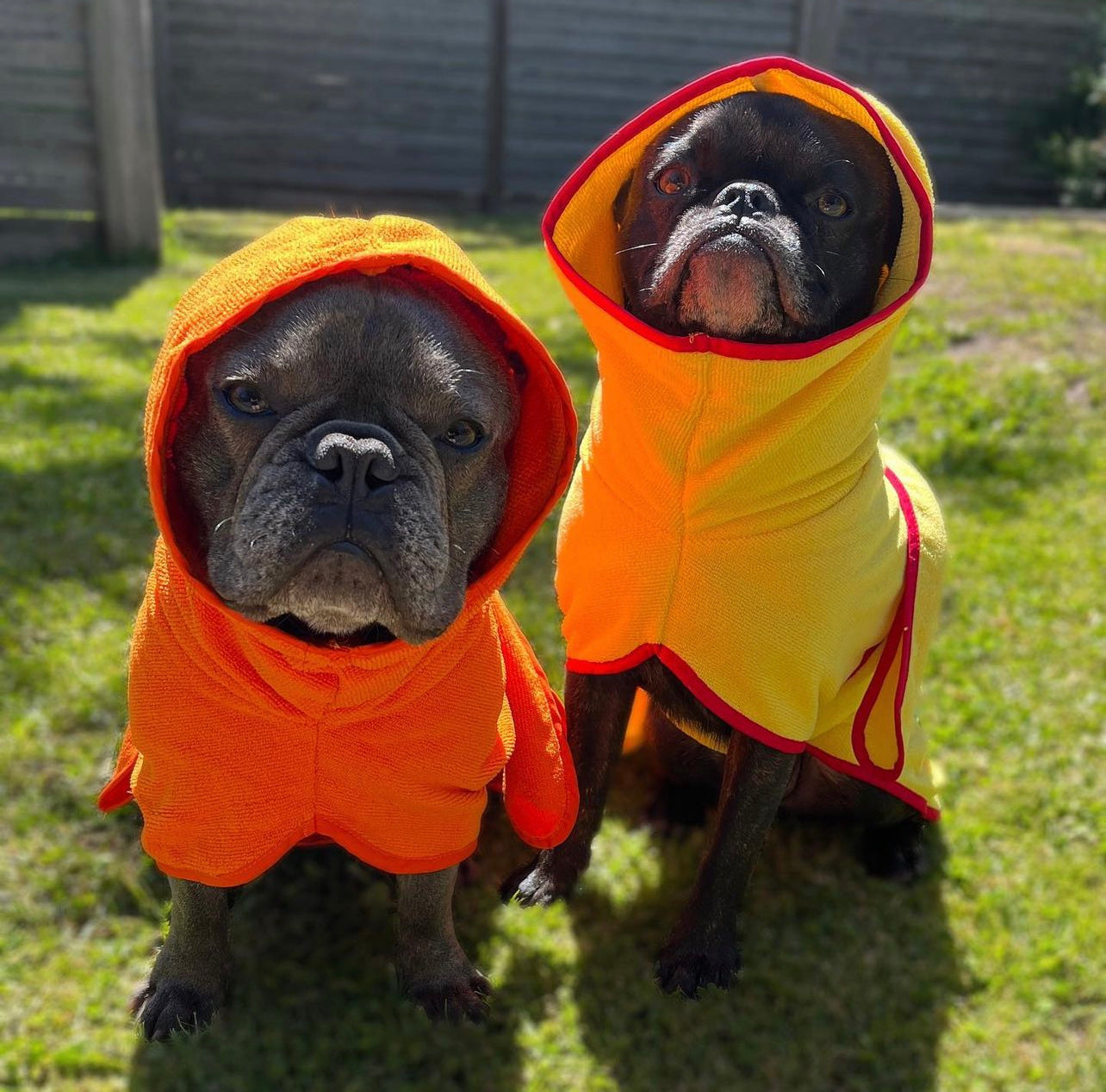 SurfDog Australia Dog Drying Coats Dog Drying Coats DC
