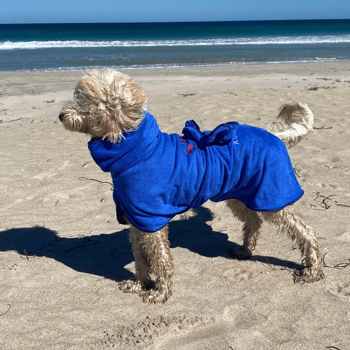 SurfDog Australia Dog Drying Coats