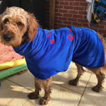SurfDog Australia Dog Drying Coats