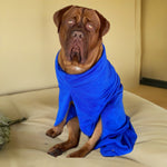 SurfDog Australia Dog Drying Coats