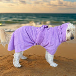 SurfDog Australia Dog Drying Coats