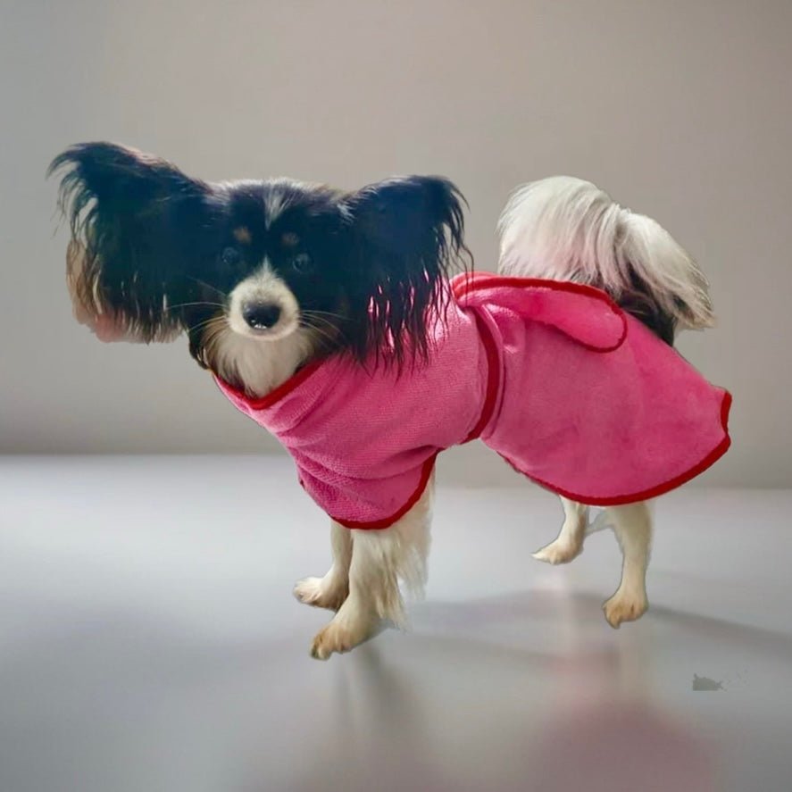 Drying Coats for Dogs – Surfdog Australia - Main Image