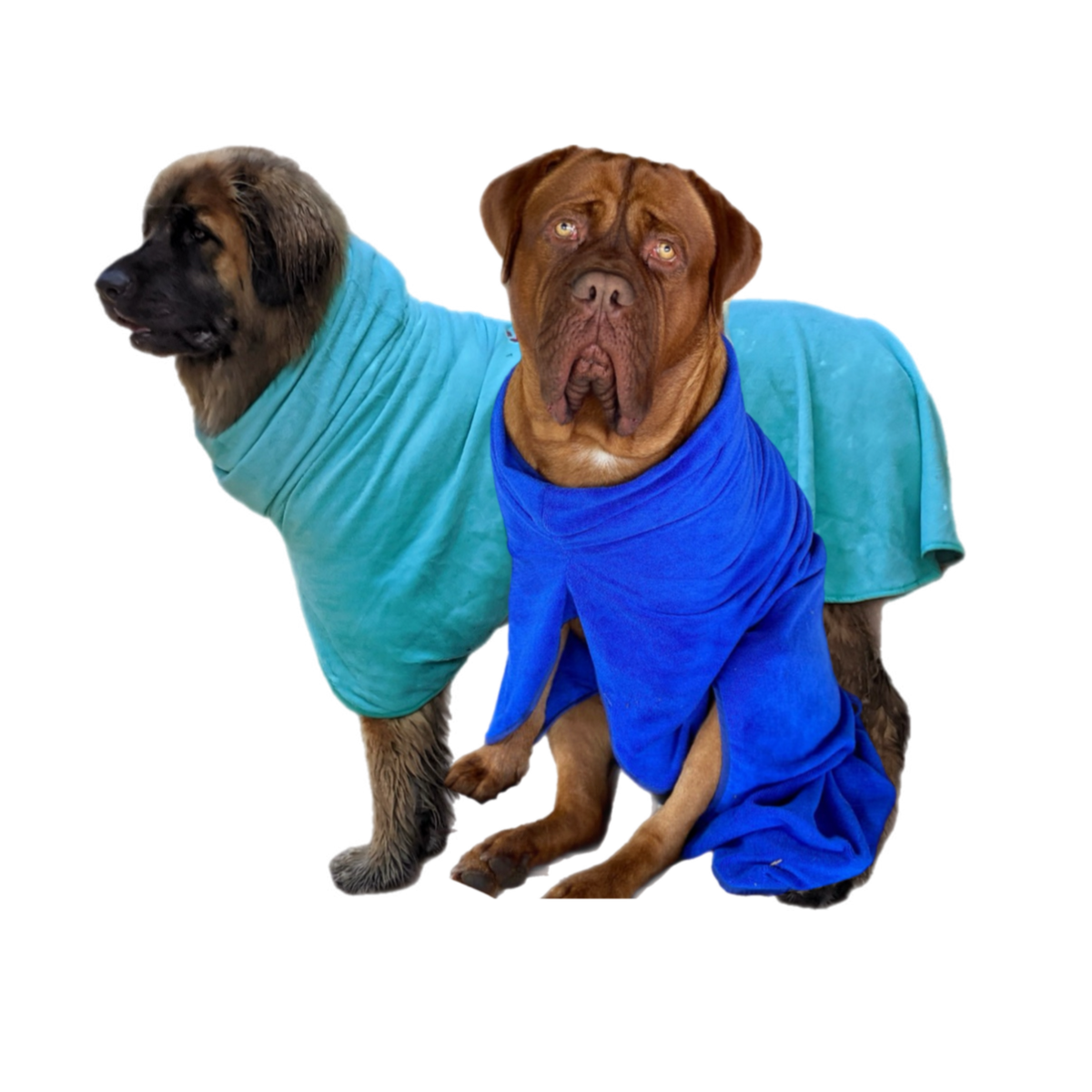 SurfDog Australia Size XXL. Back 90-110cm