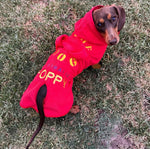 SurfDog Australia Size Dachshund. Back 38-46cm