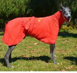 SurfDog Australia Size Greyhound. Back 65-80cm
