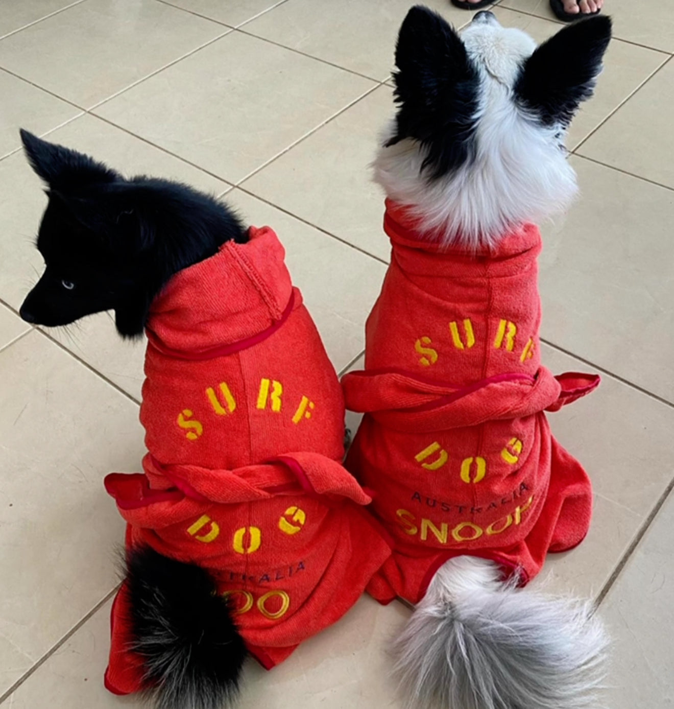 SurfDog Australia Size XS. Back 28-35cm