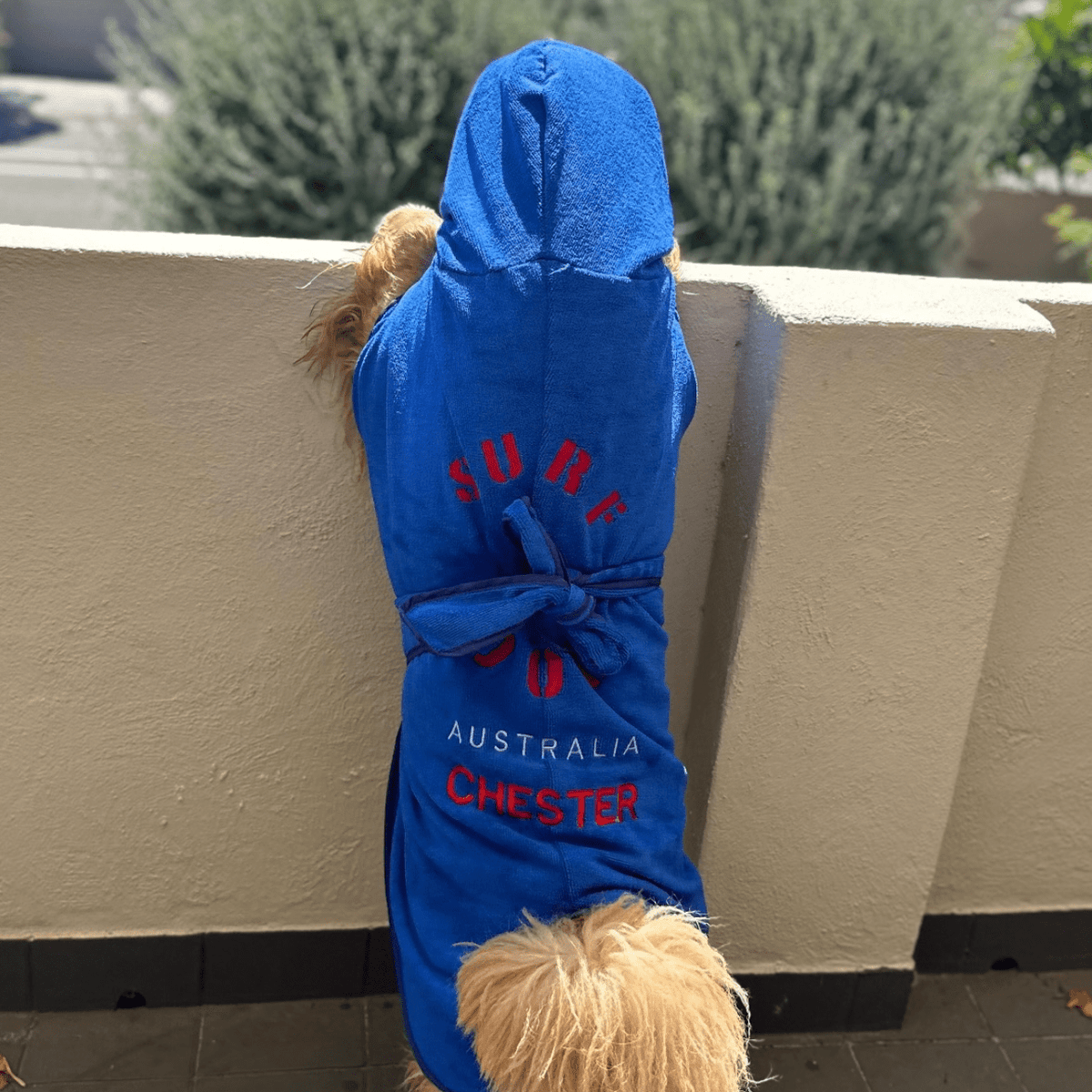 SurfDog Australia Drying Coat Size Large. Back 65-75cm