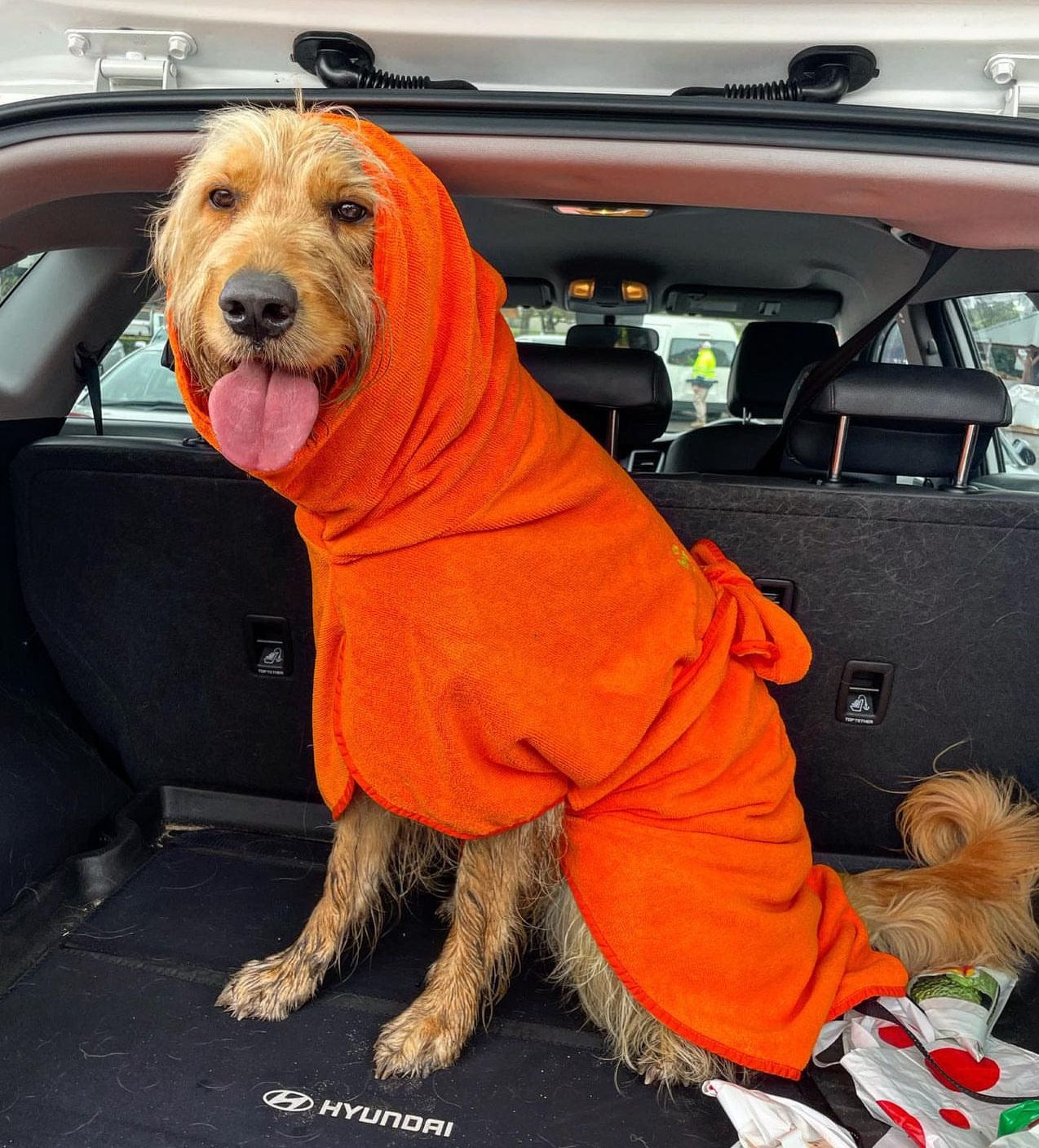 Drying Coats for Dogs quality Dog Drying Coats from Western Australia Surfdog Australia