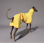 SurfDog Australia Size Greyhound. Back 65-80cm