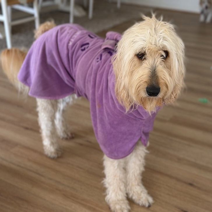 SurfDog Australia Size XL. Back 76-90cm