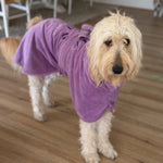 SurfDog Australia Size XL. Back 76-90cm