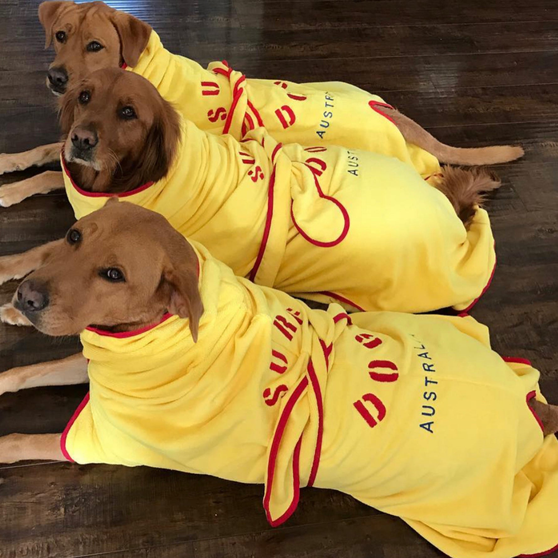 SurfDog Australia Size XL. Back 76-90cm