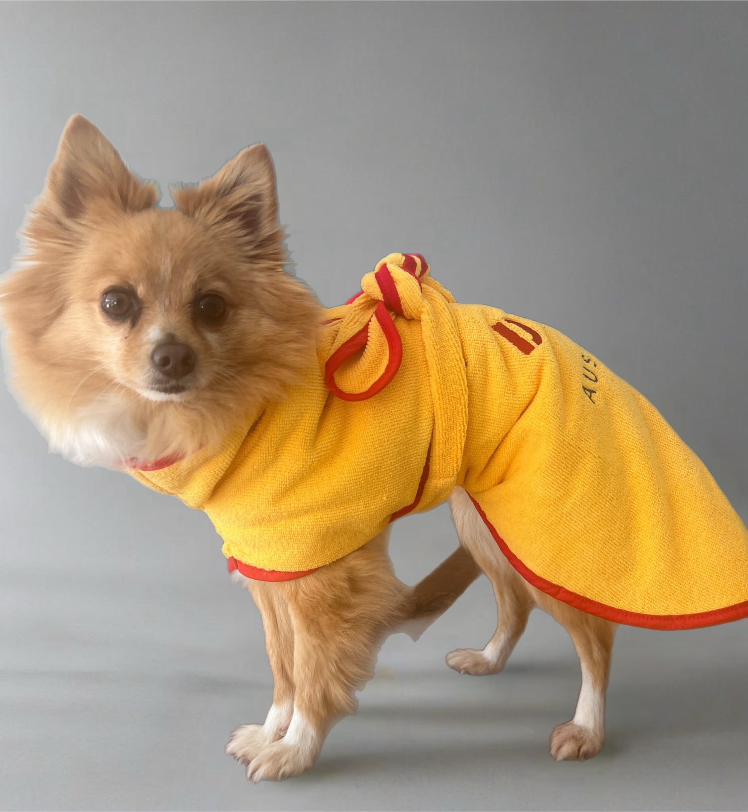 SurfDog Australia Size XS. Back 28-35cm
