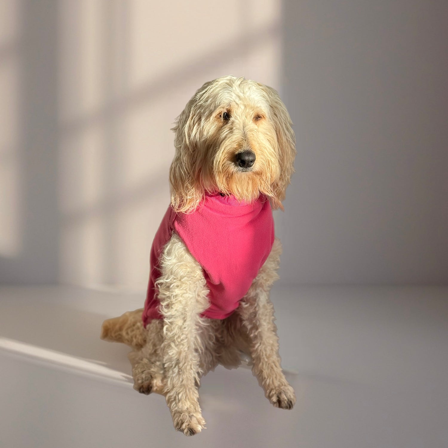 Surfdog Australia Dog Jumper Dog Jumpers - Double Snuggle Turtle