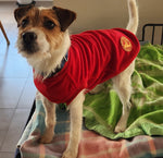 Surfdog Australia Dog Jumpers - Singlet