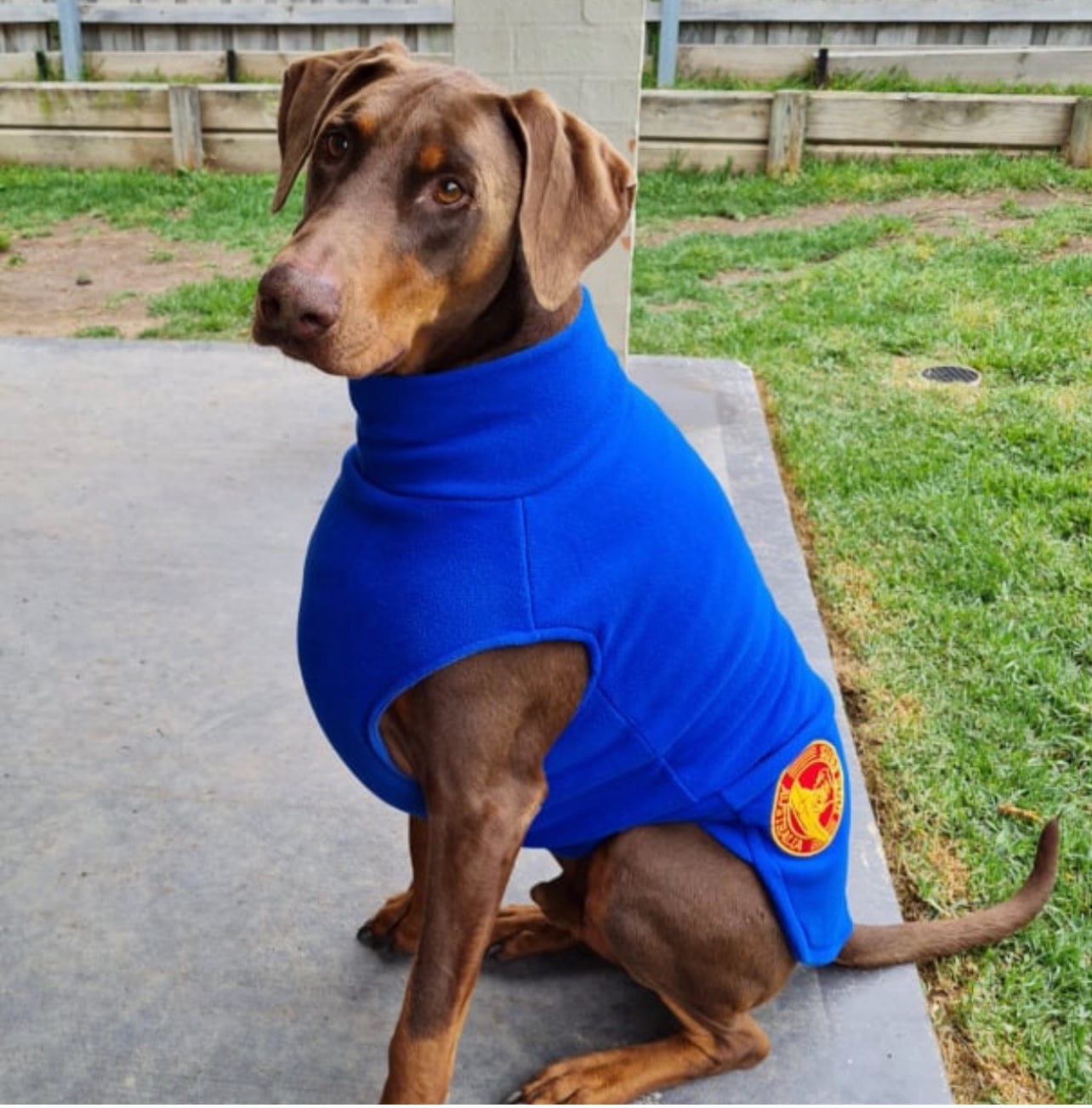 Surfdog Australia Dog Jumper Dog Jumpers - Double Snuggle