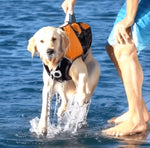 Surf Dog Australia Dog Lifejacket Stunt