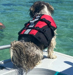 Surf Dog Australia Dog Lifejacket Stunt