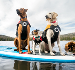 Surf Dog Australia Dog Lifejacket Stunt