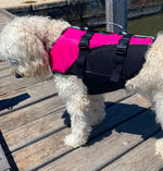Surf Dog Australia Dog Lifejacket Stunt