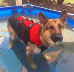 Surf Dog Australia Dog Lifejacket Stunt