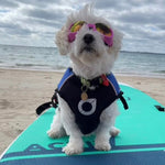 Surf Dog Australia Dog Lifejacket Dog Lifejackets