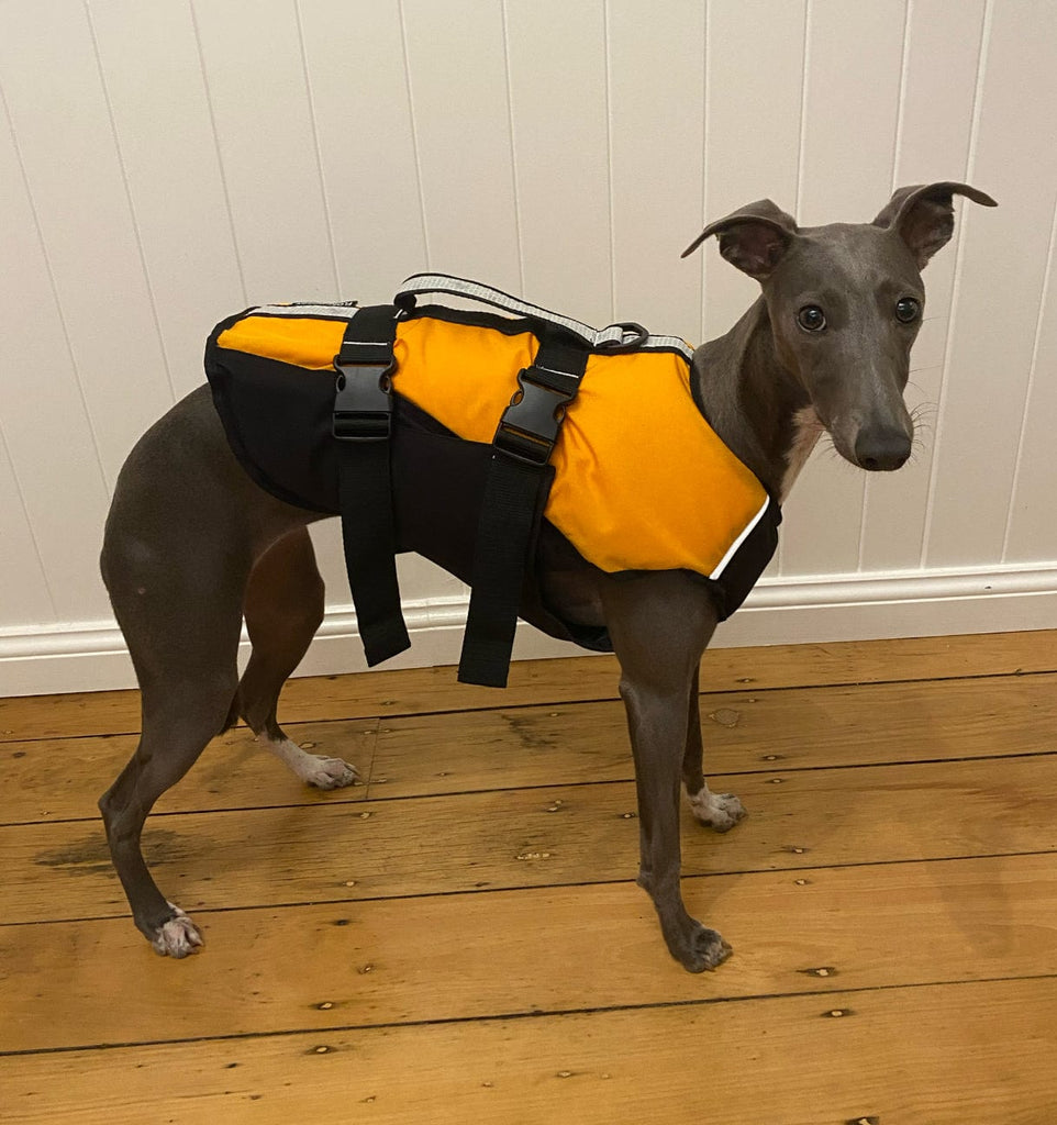 Surf Dog Australia Dog Lifejacket Dog Lifejackets
